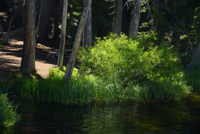 DSC_0049 (Large).JPG